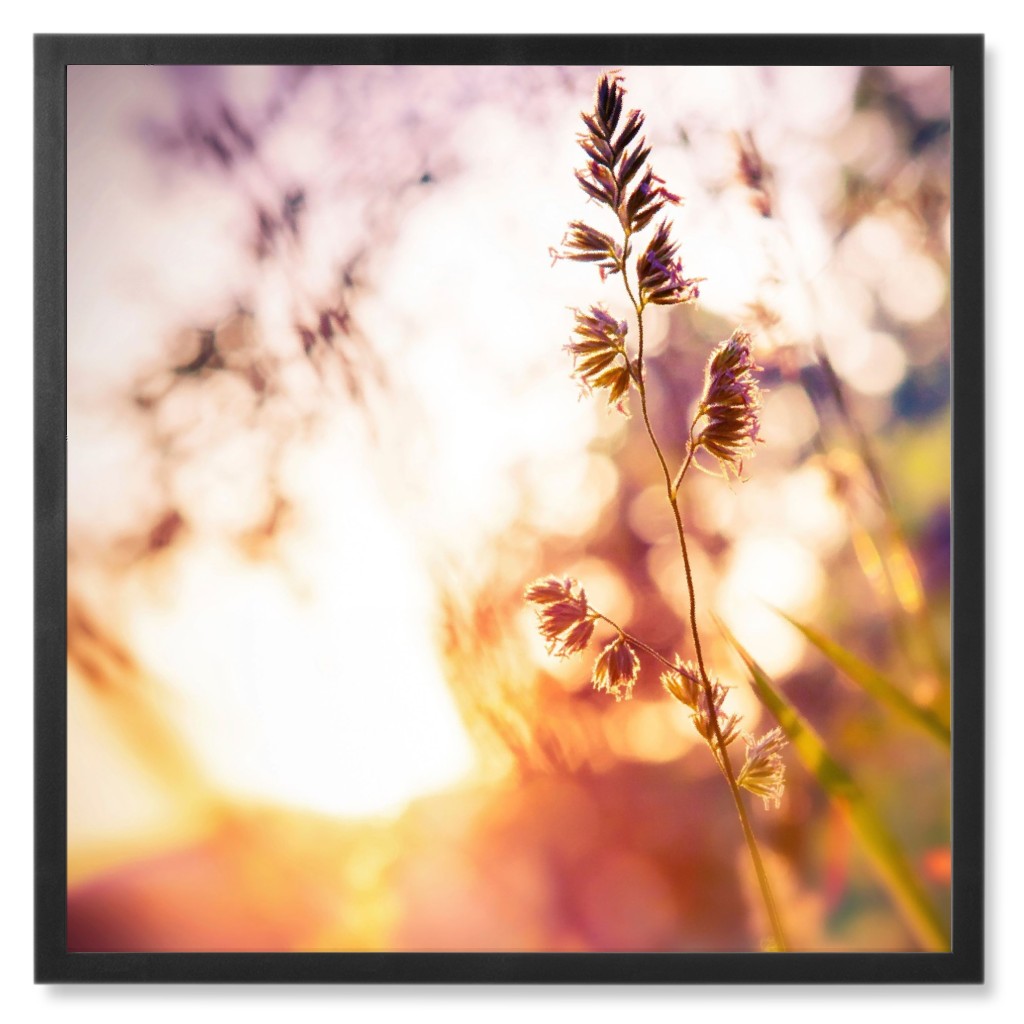 Wildflower Blur Photo Tile, Black, Framed, 8x8, Multicolor