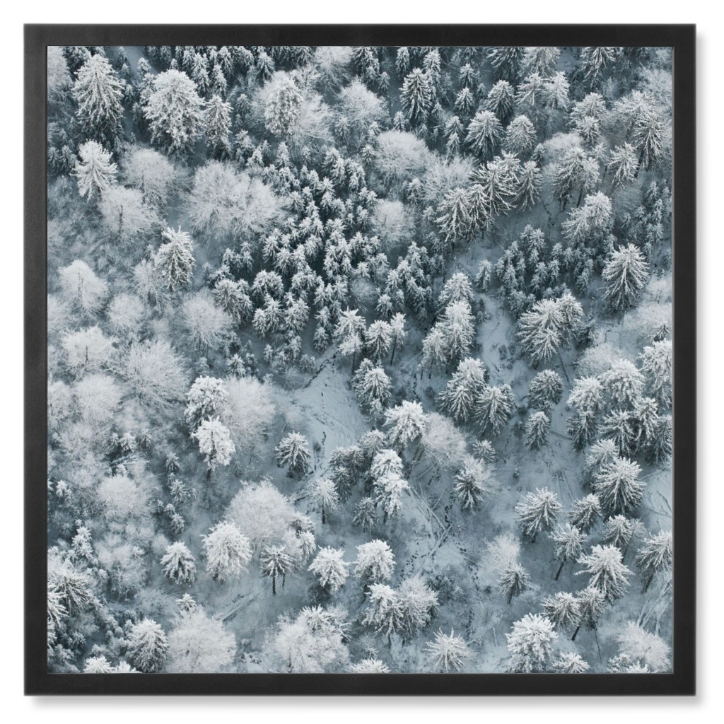 Snow Covered Trees Photo Tile, Black, Framed, 8x8, Gray