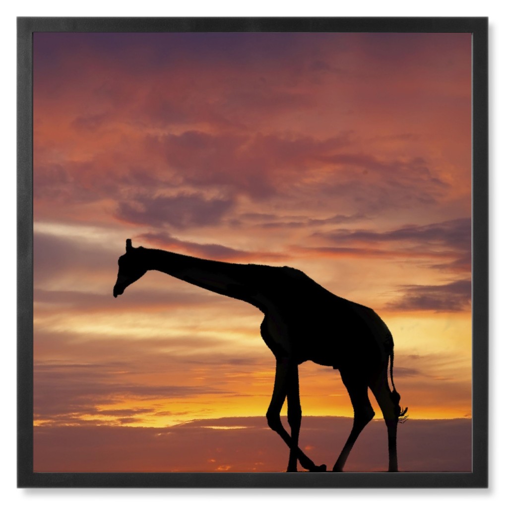 Giraffe in Saharan Sky Photo Tile, Black, Framed, 8x8, Multicolor