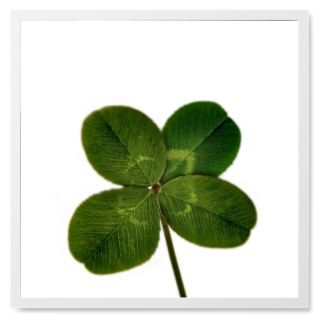 Four Leaf Clover - Green Photo Tile, White, Framed, 8x8, Green, Classic Green