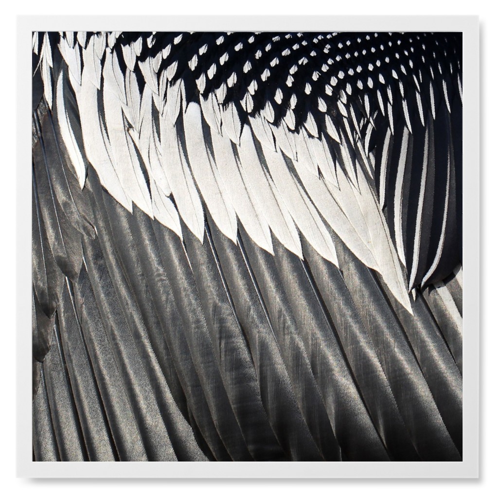 Micro View Feathers Photo Tile, White, Framed, 8x8, Gray