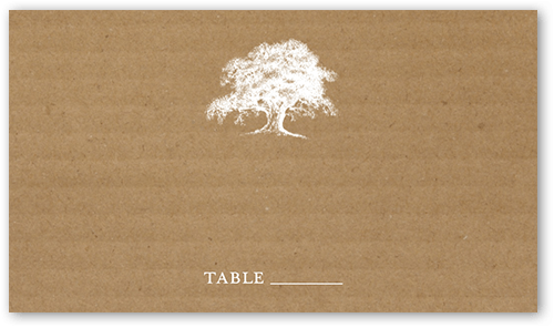 Rustic Statement Wedding Place Card, Brown, Placecard, Matte, Signature Smooth Cardstock, Camel