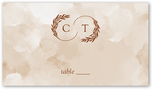 Reflective Rings Wedding Place Card, Brown, Placecard, Matte, Signature Smooth Cardstock