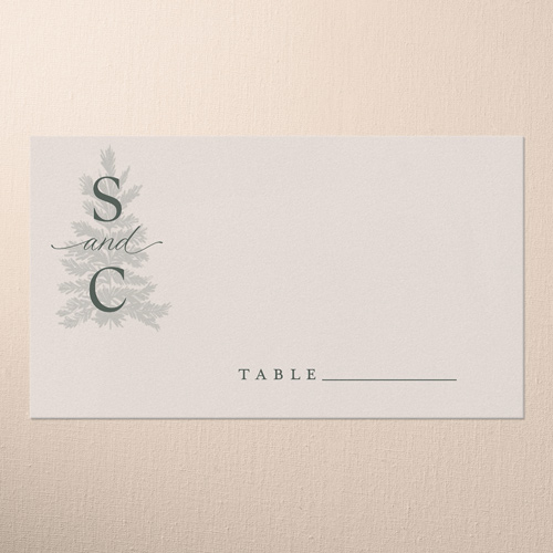 Snowy Wonderland Wedding Place Card, Green, Placecard, Matte, Signature Smooth Cardstock