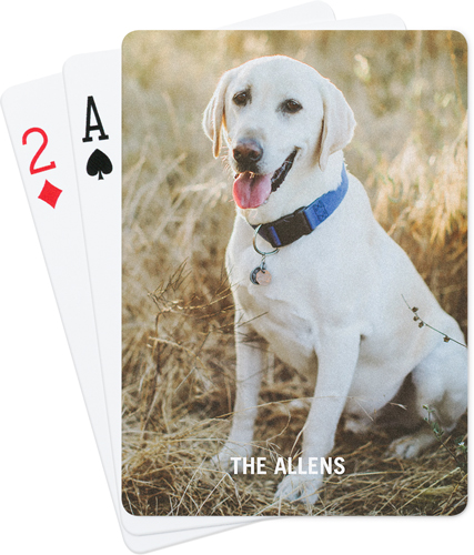 Photo Gallery Pet Playing Cards, Multicolor