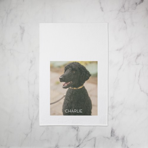 Pet Photo Gallery Tea Towel, Set of 1, Multicolor, multi