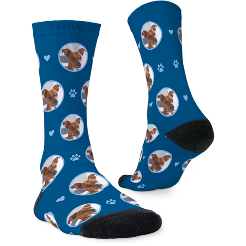 Floating Paws and Pets Custom Socks, Blue