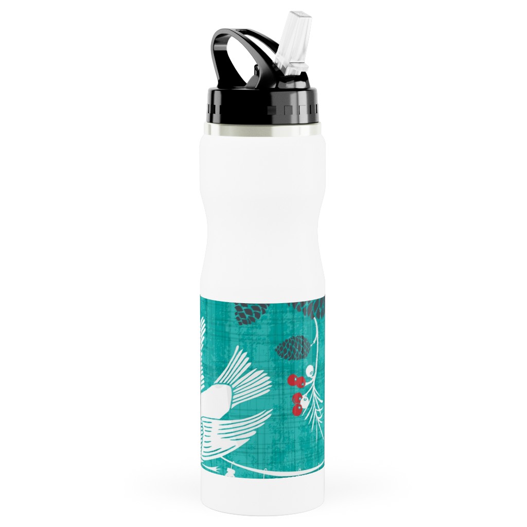 Merry Forest Stainless Steel Water Bottle with Straw, 25oz, With Straw, Blue, Aqua