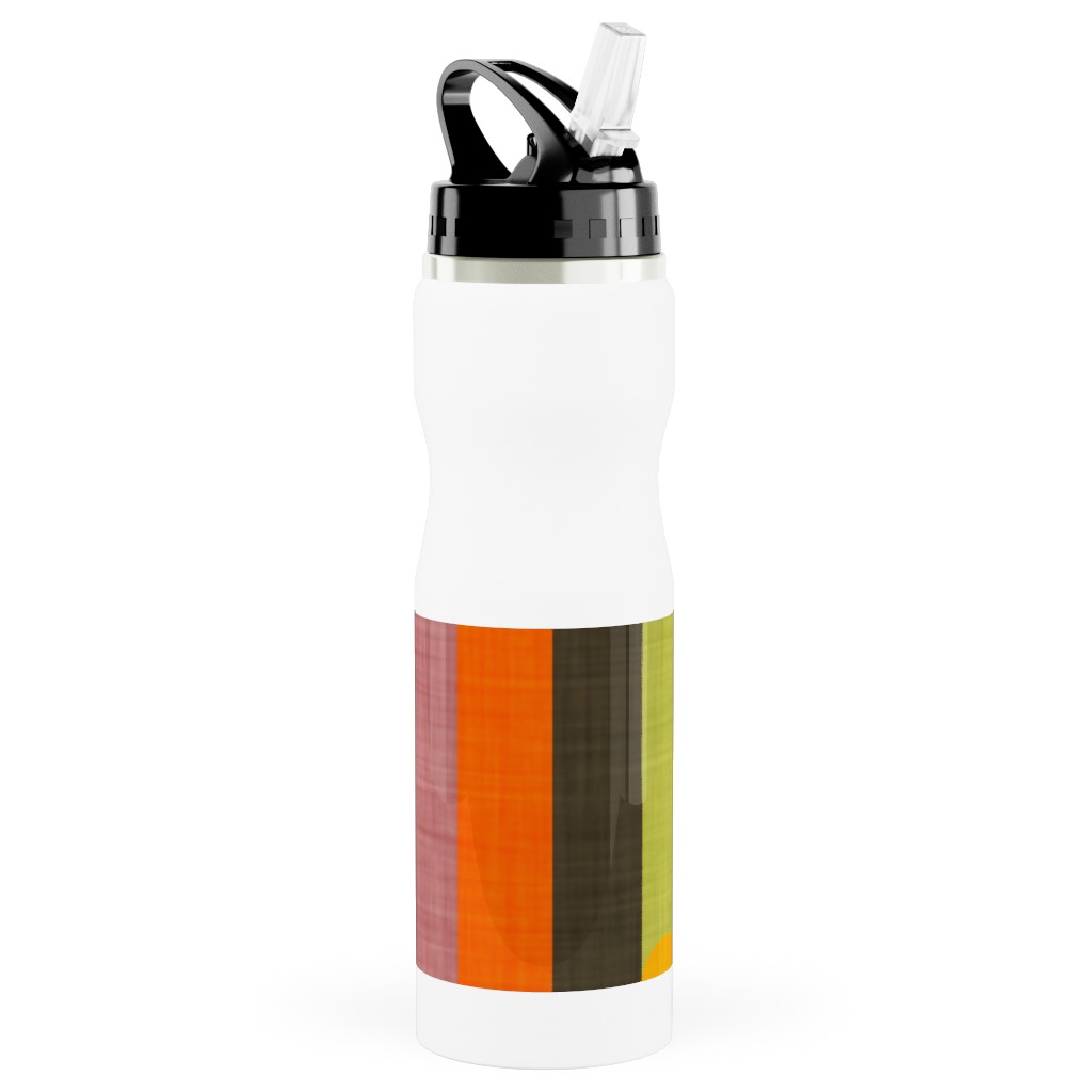 Retro Colorblock Sticks - Multi Stainless Steel Water Bottle with Straw, 25oz, With Straw, Multicolor