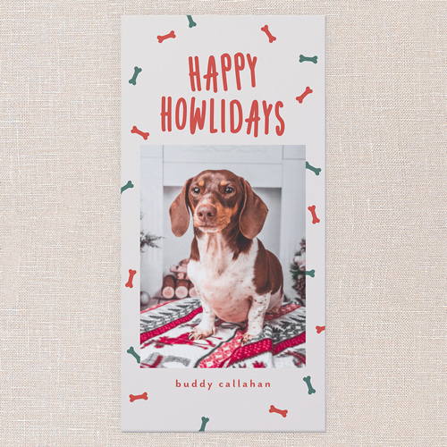 Howliday Bones Holiday Card, Grey, 4x8 Flat, Holiday, 100% Recycled Cardstock ?, Square