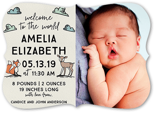 Illustrated Woodland Birth Announcement, Brown, 5x7, Matte, Signature Smooth Cardstock, Bracket