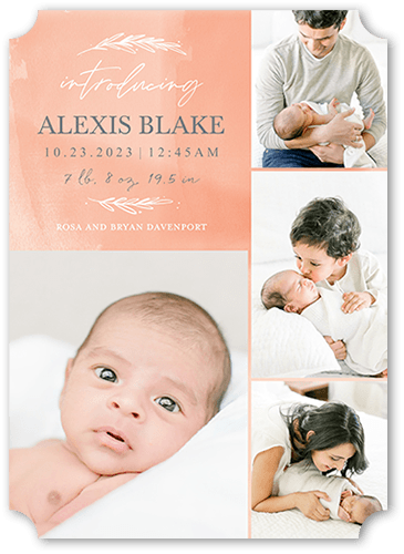 Watercolor Beginnings Birth Announcement, Beige, 5x7 Flat, Matte, Signature Smooth Cardstock, Ticket