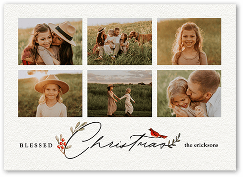 Bird and Holly Berry Holiday Card, White, 5x7 Flat, Religious, Matte, Signature Smooth Cardstock, Square