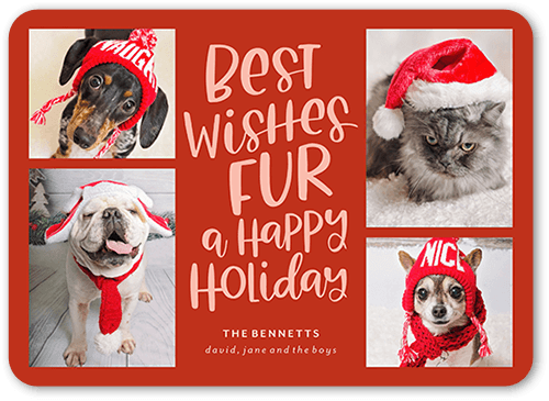 Festive Furry Fun Holiday Card, Red, 5x7 Flat, Holiday, Pearl Shimmer Cardstock, Rounded