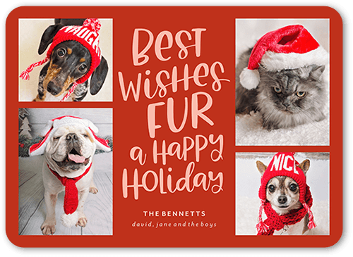 Festive Furry Fun Holiday Card, Red, 5x7 Flat, Holiday, Standard Smooth Cardstock, Rounded