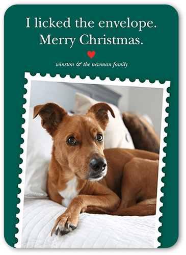 Festive Pet Stamp Holiday Card, Green, 5x7, Christmas, Standard Smooth Cardstock, Rounded
