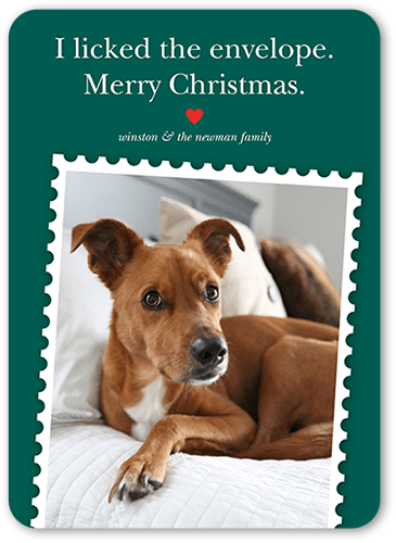 Festive Pet Stamp Holiday Card, Green, 5x7 Flat, Write Your Own, Pearl Shimmer Cardstock, Rounded