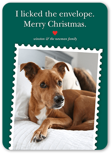 Festive Pet Stamp Holiday Card, Green, 5x7 Flat, Christmas, Matte, Signature Smooth Cardstock, Rounded