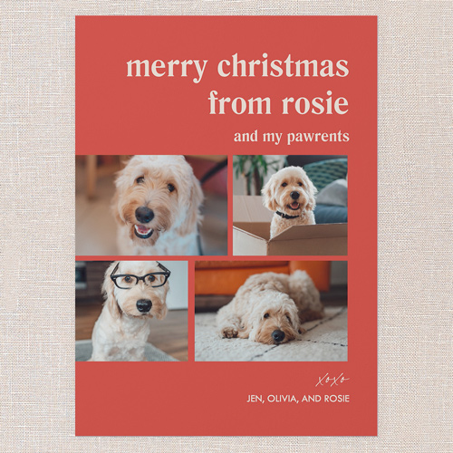 Simple Showcase Holiday Card, Red, 5x7 Flat, Write Your Own, Luxe Double-Thick Cardstock, Square