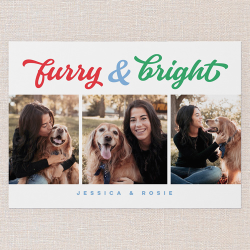 Festive Furry Friends Holiday Card, White, 5x7 Flat, Holiday, Matte, Signature Smooth Cardstock, Square