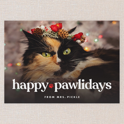 Paw Punctuation Holiday Card, White, 5x7 Flat, Holiday, Luxe Double-Thick Cardstock, Square, White