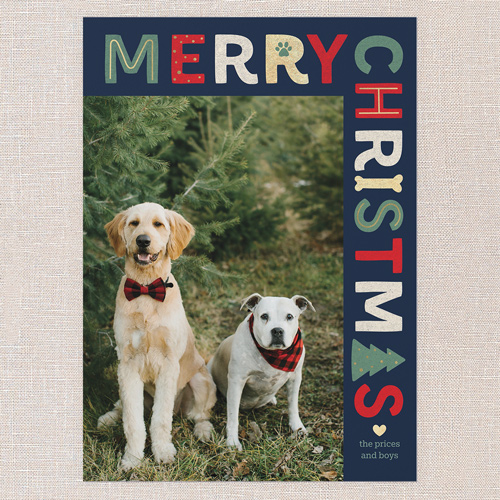 Pet Icon Holiday Card, Blue, 5x7 Flat, Christmas, Matte, Signature Smooth Cardstock, Square, Nautical