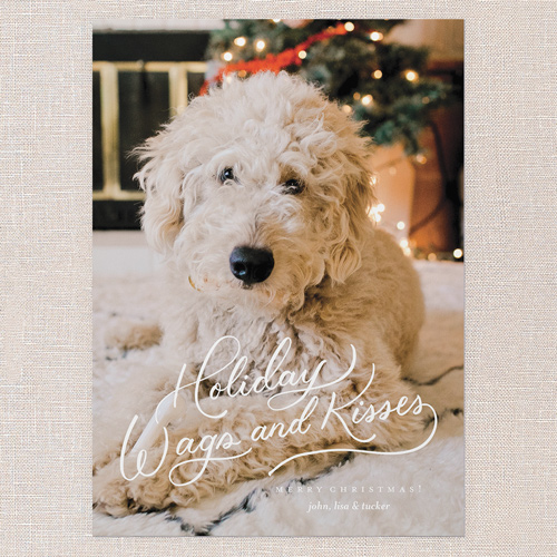 Wags and Wishes Holiday Card, White, 5x7 Flat, Holiday, Pearl Shimmer Cardstock, Square, White