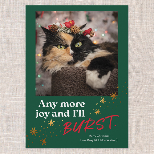 Joyful Whiskers Holiday Card, Green, 5x7 Flat, Christmas, Matte, Signature Smooth Cardstock, Square, Spruce Green
