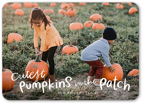 Cutest Pumpkins Halloween Card, White, 5x7 Flat, Matte, Signature Smooth Cardstock, Rounded, White