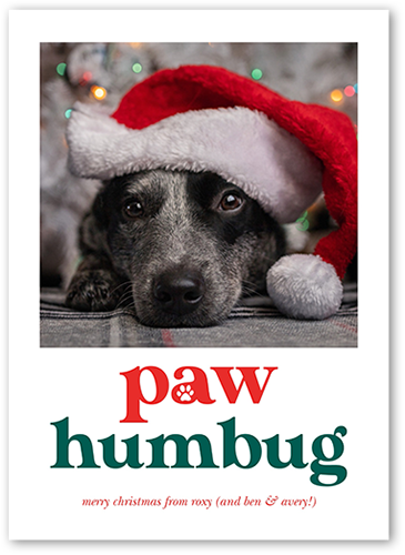 Paw Humbug Christmas Card, White, 5x7, Christmas, Pearl Shimmer Cardstock, Square
