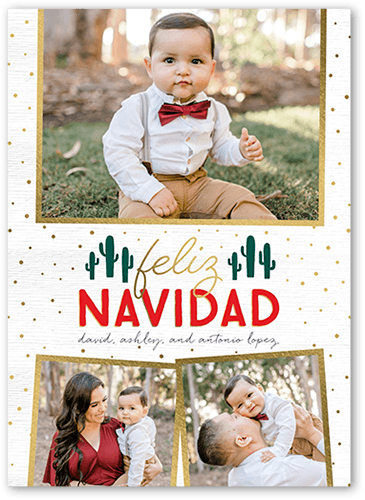 Speckled Succulent Tarjeta de Navidad, White, 5x7 Flat, Feliz Navidad, Standard Smooth Cardstock, Square