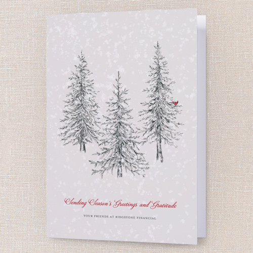 Winter Gratitude Holiday Card, Grey, 5x7 Folded, Holiday, Matte, Folded Smooth Cardstock, Square, Whisper Gray