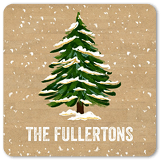 Fir Tree Forest