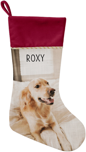 Pet Photo Gallery Christmas Stocking, Red, Multicolor