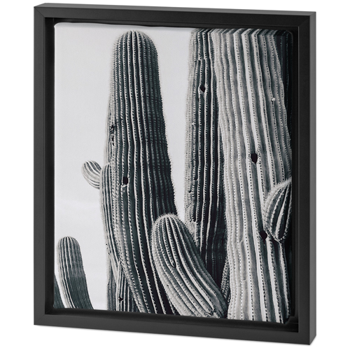 Vintage Cacti Tabletop Framed Canvas Print, 8x10, Black, Tabletop Framed Canvas Prints, Multicolor