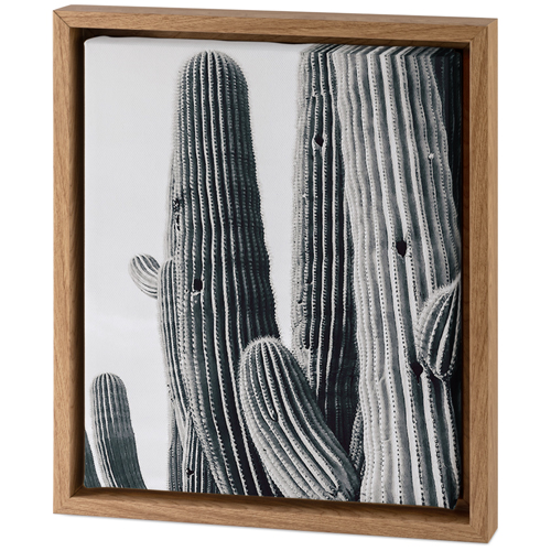 Vintage Cacti Tabletop Framed Canvas Print, 8x10, Natural, Tabletop Framed Canvas Prints, Multicolor
