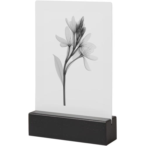 Muted Flower Tabletop Metal Prints, 5x7, Black, Multicolor