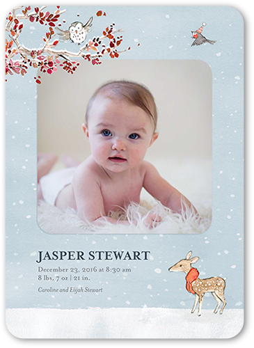 december birth announcements