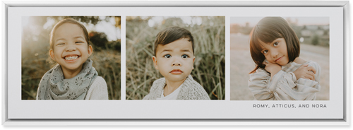 Three Of A Kind Wall Art, White, Single piece, Mounted, 12x36, Multicolor