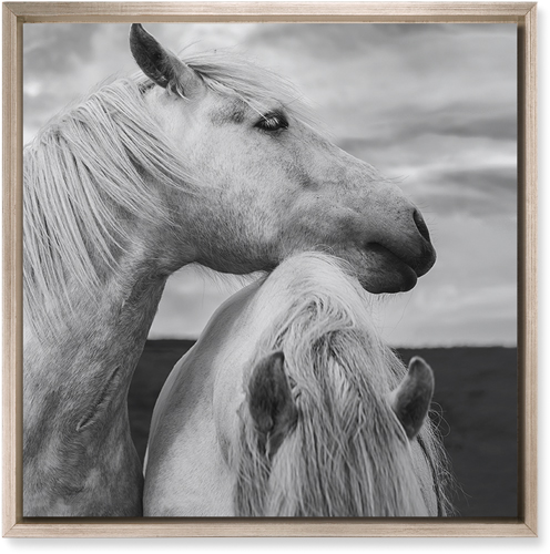 Black and White Horses Wall Art, Metallic, Single piece, Mounted, 16x16, Multicolor