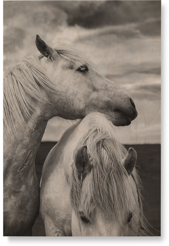 Black and White Horses Wall Art, Single piece, Wood, 20x30, Multicolor