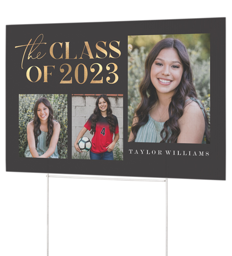 Dazzling Class Yard Sign, Gray
