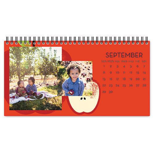 Bold Seasons Desk Calendar, 5x11