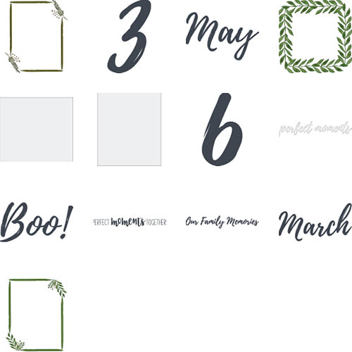 Painted Greenery Wall Calendar | Shutterfly